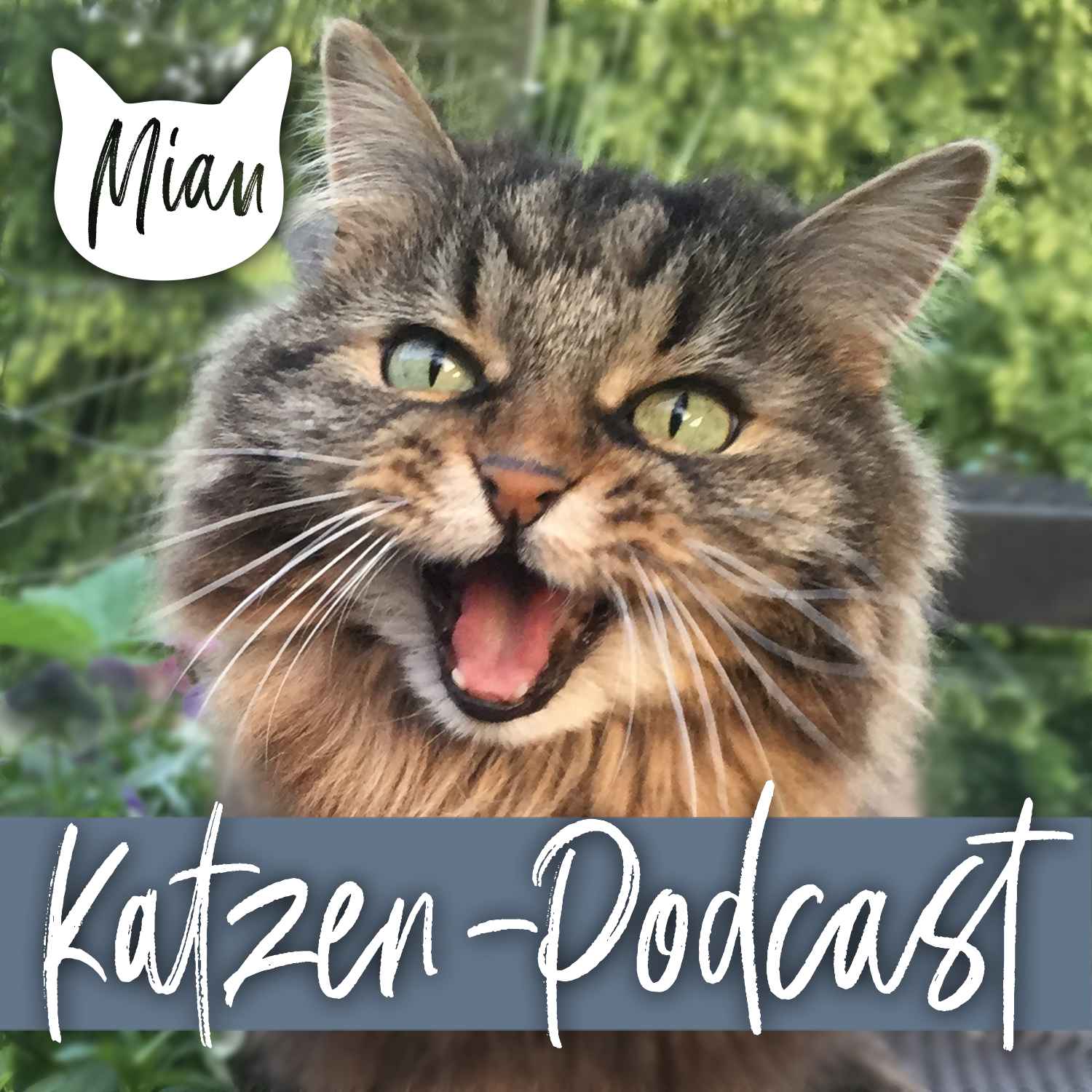 Miau Katzen-Podcast Cover