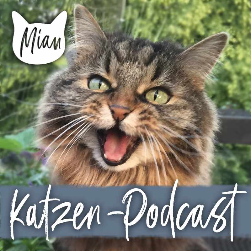 Miau Katzen-Podcast