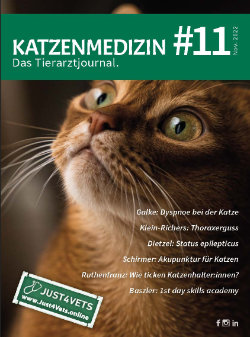 Katzenmedizin - das Tierarztjournal #11