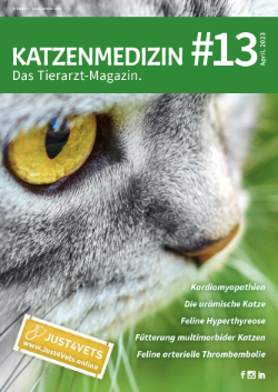 Katzenmedizin - das Tierarztjournal #13