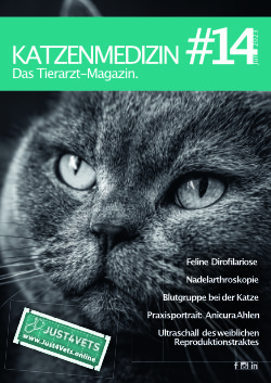 Katzenmedizin - das Tierarztjournal #14