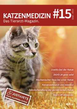 Katzenmedizin - das Tierarztjournal #15